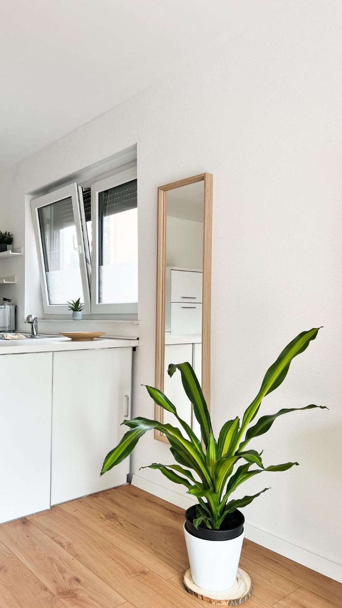 2 Zkb Apartment In Mannheim Kueche - Parken - Grosser Tv Εξωτερικό φωτογραφία